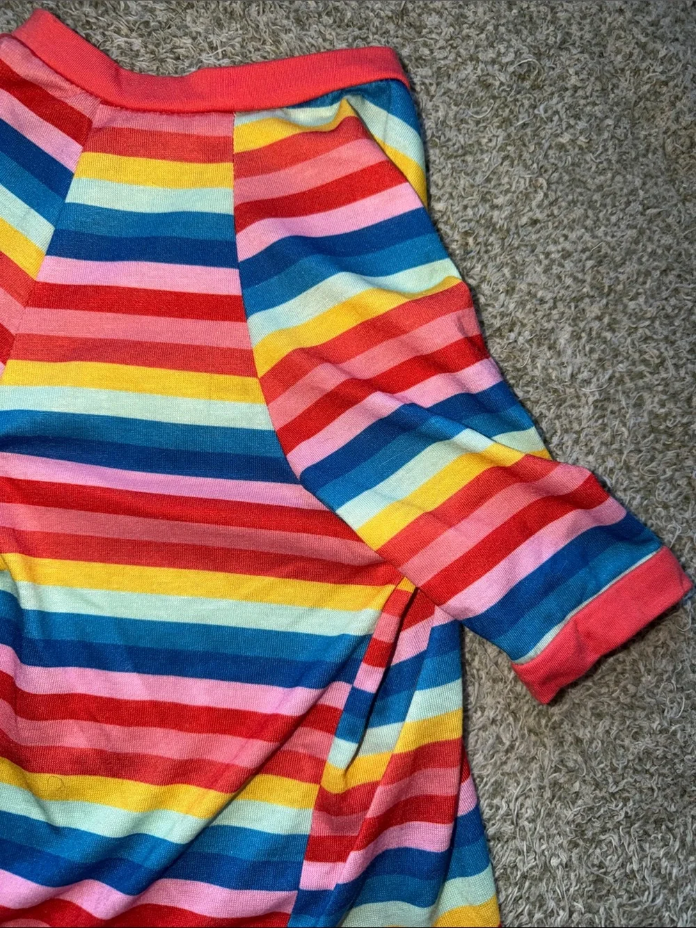 Birthday Pup Rainbow Stripe Dog Tee